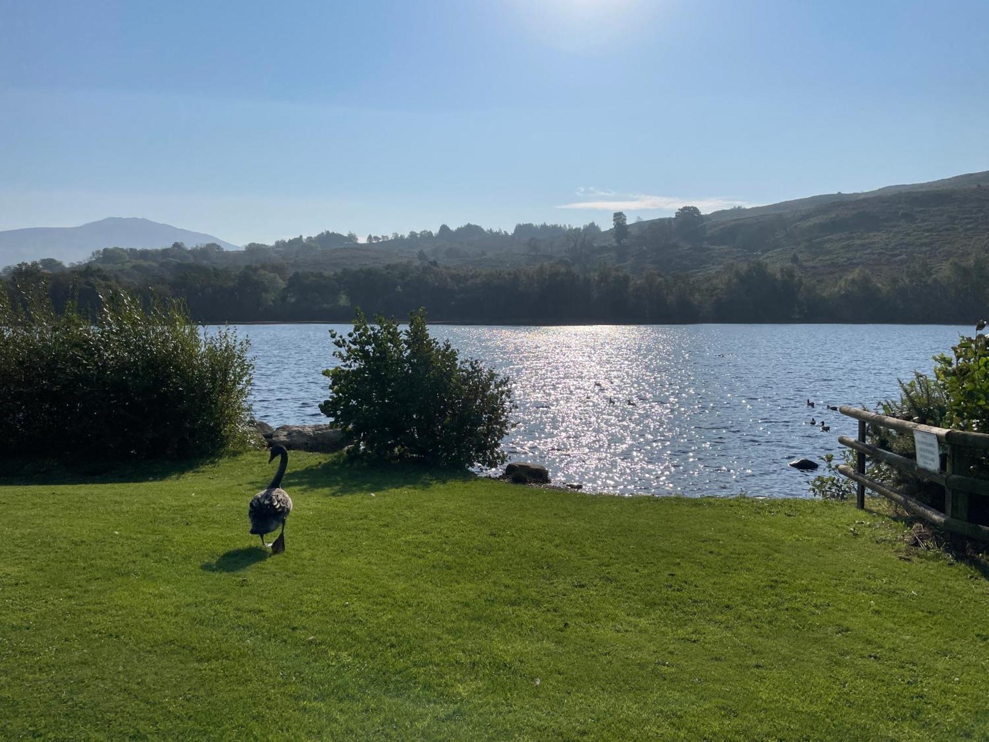 No 61 Brynteg Country & Leisure Retreat Villa Cwm-y-glo Buitenkant foto
